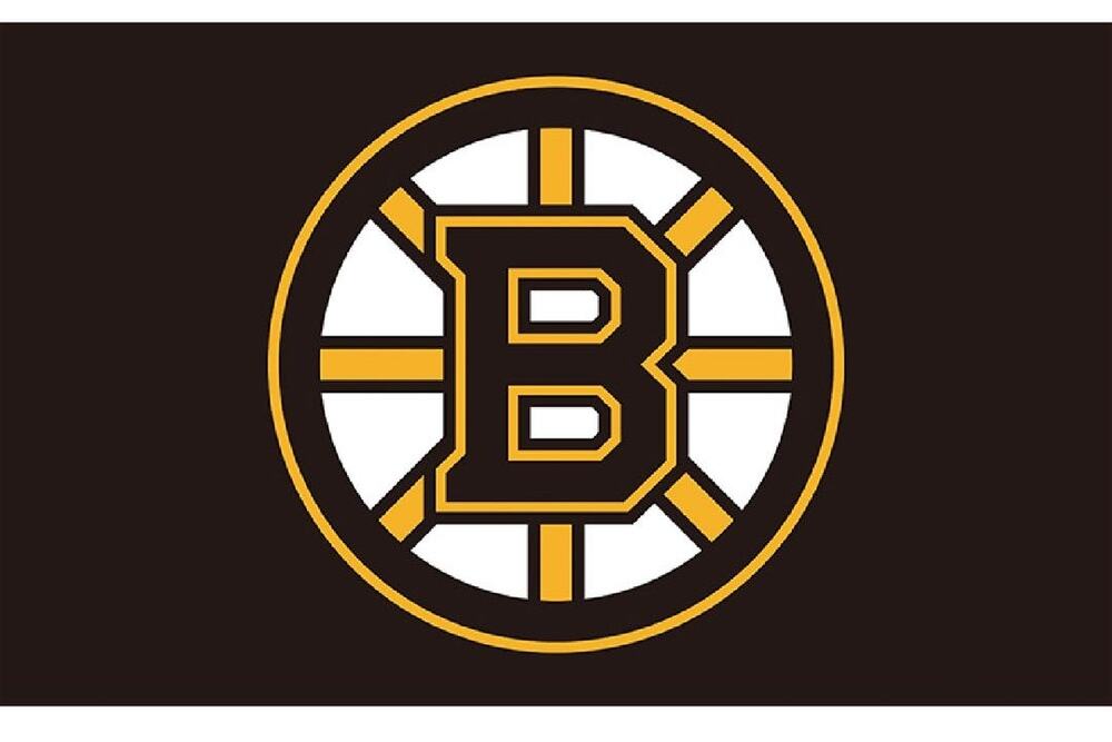 Boston Bruins NHL Flag